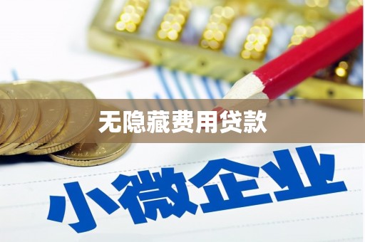 狮子山无隐藏费用贷款