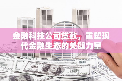 阳城金融科技公司贷款，重塑现代金融生态的关键力量