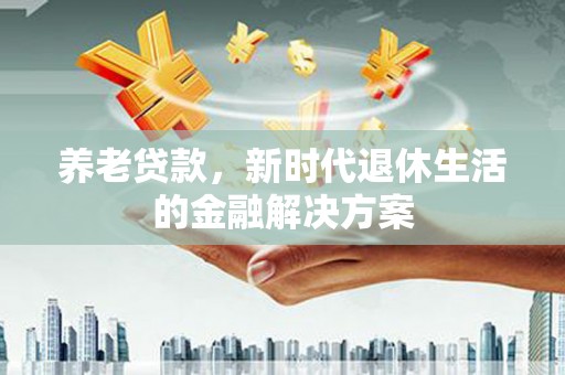 大武养老贷款，新时代退休生活的金融解决方案