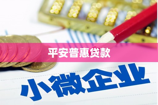 洋县平安普惠贷款