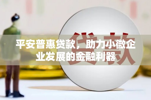 庄浪平安普惠贷款，助力小微企业发展的金融利器