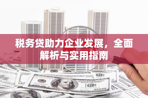 增城税务贷助力企业发展，全面解析与实用指南