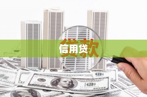 龙州信用贷