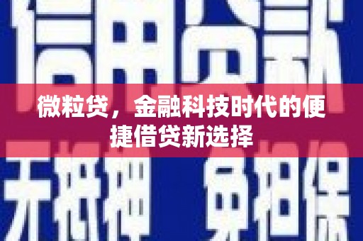 黑水微粒贷，金融科技时代的便捷借贷新选择