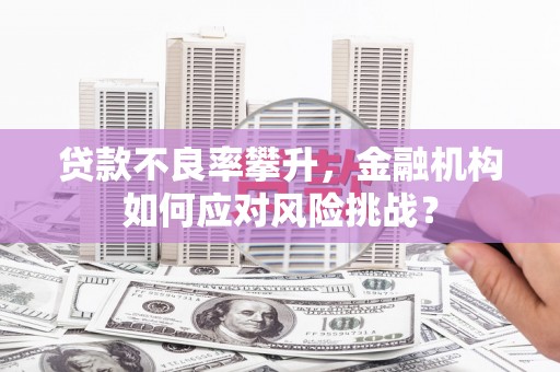 堆龙德庆贷款不良率攀升，金融机构如何应对风险挑战？