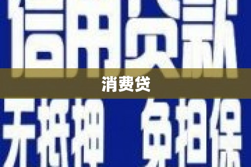 巩留消费贷