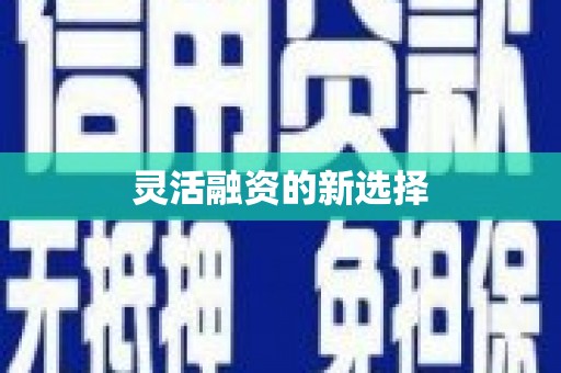 旬阳灵活融资的新选择
