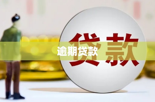 道里逾期贷款
