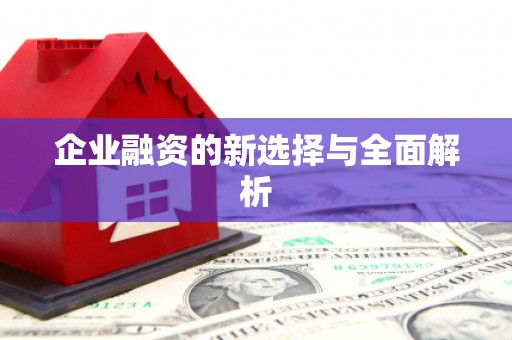 美溪企业融资的新选择与全面解析