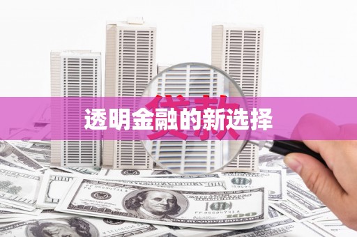 凤县透明金融的新选择