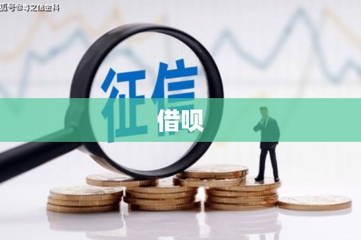 丰顺借呗
